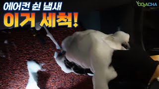 에바 크리닝이 에어컨에 정말 도움이 될까? / 내시경으로 직접 살펴보니...!