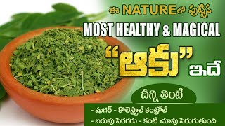 Most Healthy and Magical Leaf in Nature | Anti Oxidant | Moringa Leaf| Dr.Manthena Health Tips