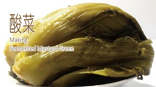 匠弄。酸菜 | 天然金黃色的秘密 | Making Fermented Mustard Green | 輕快經典版 | 中文字幕