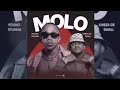 Young Stunna & Kabza De Small - Molo | Official Audio