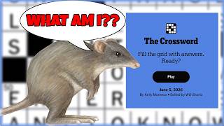 A Small Marsupial... |Solving The New York Times Crossword Puzzle | June 5 2026 | Friday