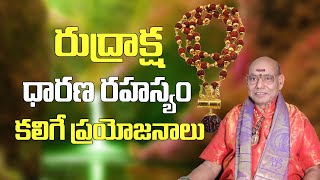 రుద్రాక్ష ధారణ మహత్యం | How To Wear Rudraksha | Sai Datta Nanda Swamy | Parishkara Margam