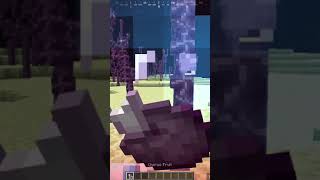 How to go through the barrier Minecraft Java