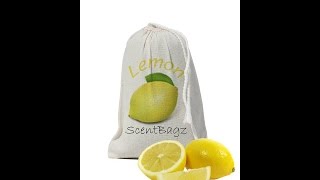 ScentBagz Air Freshener - air freshener scent