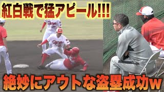 新井貴浩監督が注目する紅白戦で二盗に成功する正随優弥！しかしよく見てみるとタイミング的に…