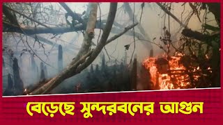 বেড়েছে সুন্দরবনের আ-গু-ন, নিয়ন্ত্রণে কাজ শুরু| Sundarban Forest | Fire Incident || Desh Rupantor