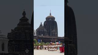 Shri Lingeshwar Mahadev Odisha #buldozerbabavlogs