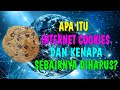 Apa Itu Internet Cookies dan Apakah Sebaiknya Dihapus?