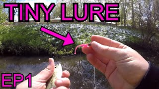 Creek fishing with a Tiny Minnow Lure (Tiny Lures EP1) Ultra Light Rod