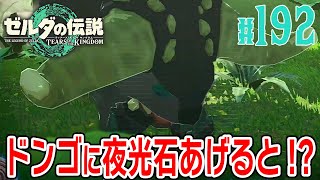 新種生物ドンゴに夜光石を食べさせると！？【ゼルダの伝説 ティアーズオブザキングダム】史上最高の傑作ゲームの続編 TotK TearsOfTheKingdom #192