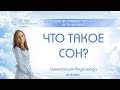 Что такое сон?