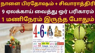 நாளை பிரதோஷம் + சிவராத்திரி ! 9 ஏலக்காய் வைத்து ஓர் பரிகாரம் ! 1 மணிநேரம் இருந்தா போதும் ! #apastro