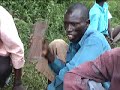 Embaire Full Ensemble Performance, Basoga, Uganda 2005_(recorded by T. Teffera)Part I