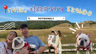 EP. 16 กทม ประจวบ ระนอง ฉบับมีน้องหมา Pet Friendly