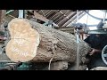 Extraordinary!! sawing very expensive old teak wood