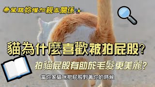 貓為什麼喜歡被拍屁股？