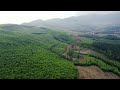 4k drone footage aerial views of majestic forests with relaxation music