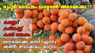 ദൃഷ്ടി ദോഷം മാറ്റാൻ അടയ്ക്ക!!! | കണ്ണേറ് കരിങ്കണ്ണ് കൺ ദോഷം | DRISHTI DOSHATHINU ADAYKKA