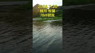 【鮎釣り】2024.7.20 桂川 松留 川の状況#shorts