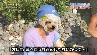 Apexランク上げる！調子悪かったらカジュアル！