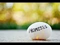 Eric Clapton - Promises (lyrics on clip)