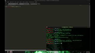 Protect python script from uncompyle
