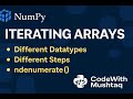 Iterating Arrays in NumPy – DataTypes, Steps & ndenumerate
