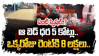 ఆ బెడ్ ధర 5 కోట్లు.. ఒక్కరోజు రెంట్ కి 8 లక్షలు.. ఏంటి స్పెషల్..? | To The Point | hmtv