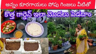 అన్నం కూరగాయ తుక్కులు పోపు గింజలు తో కొత్త గార్డెన్ మొదలు పెడదాం#మాబుజ్జితోటఛానల్