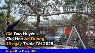 Giá cành Đào Huyền chợ hoa An Dương 13 ngày trước Tết 2025 ở Hải Phòng