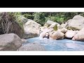 【2024 30s mt.yangming trip】xiaqigu wild hot spring｜xiaoyoukeng｜dream lake｜taipei travel 4k mini vlog