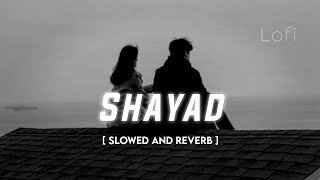 Shayad (Slowed And Reverb) | Arijit Singh| Demo Lofi | Lofi Version #lofi #slowedandreverb