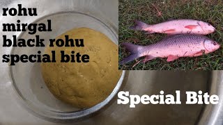 Rohu fish Black Rohu fish or mirgal ke liye special bite.