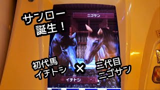 [スタホR] サンロー誕生　初代馬イチトシ×二代目ニゴサンとの子供！