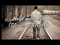 Haye Mera Dill (slowed+reverb) Alfaaz ft Honey Singh @lofisongs-sidhu