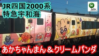 JR四国2000系（クリームパンダ＆あかちゃんまん）特急「宇和海2号」　伊予市駅出発【予讃線】