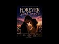 ✨ “Forever Starts Tonight” ✨