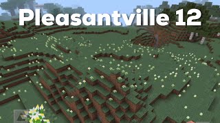 Minecraft Pleasantville 12