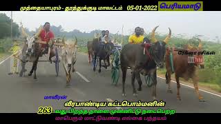 பெரிய மாடு - முத்தையாபுரம் - தூத்துக்குடி மாவட்டம் 05-01-2022