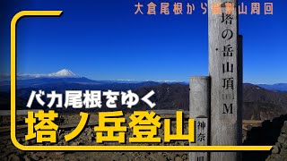 【登山】バカ尾根と名高い塔ノ岳を登ってきた