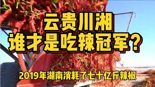 四大省份吃辣之争，消耗全球一半以上辣椒，谁是我国的吃辣冠军？【科技周周讲故事】