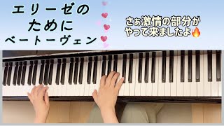 エリーゼのために / ベートーヴェン作曲　Für Elise / Beethoven  【アドバイス付き】