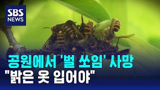 공원에서 '벌 쏘임' 사망…\