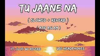 Tu Jane Na [Slowed Reverb]- Atif Aslam | Lofi 8d Reverb  #tujanena #slowedandreverb #bollywoodsongs