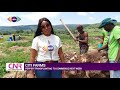 ‘Operation Feed Yourself’: Work progresses on Citi FM and Citi TV farm | Citi Newsroom