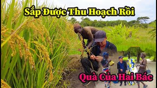 Quang Dũng || Vợ Chồng Bác Trưởng Bản Vui Mừng Thốt Lên Thật  May Mắn Khi Được Làm Việc Với Người VN