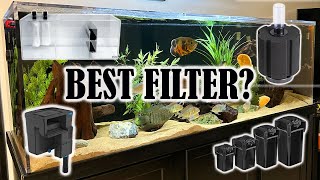 Aquarium Filtration | Which Type of Filter is Best for You?