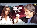 Cheeni Kum (2007) Full Hindi Movie (4K) | Amitabh Bachchan & Tabu | Paresh Rawal | Zohra Sehgal