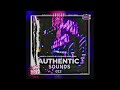 Authentic Sounds 012 - Curated by Lowbass & Ndibo Ndibs