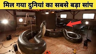 जब विज्ञानिकों को मिला || दुनियां का सबसे बड़ा सांप | Titanik Boa Snake 🐍🐍